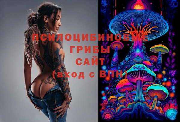 прущая мука Надым