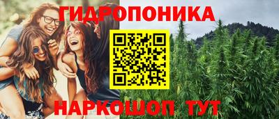 ГАЛЛЮЦИНОГЕННЫЕ ГРИБЫ Изобильный