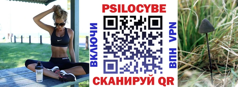 закладка  Иркутск  Псилоцибиновые грибы GOLDEN TEACHER 