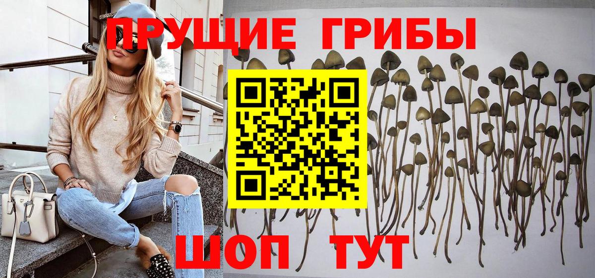 Галлюциногенные грибы Magic Shrooms Иркутск