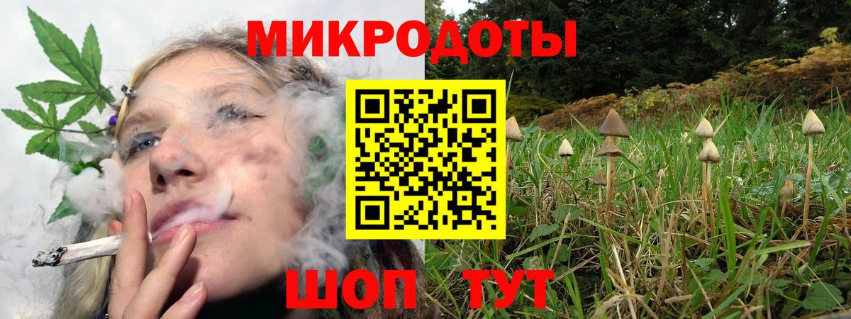 Псилоцибиновые грибы Psilocybine cubensis  Псилоцибиновые грибы GOLDEN TEACHER  наркошоп  Вход с VPN  Иркутск 