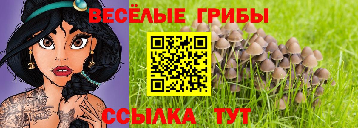 МЕФ кристаллы  Гашиш  ЭКСТАЗИ  Кокаин  Вход с VPN  Иркутск  Конопля 